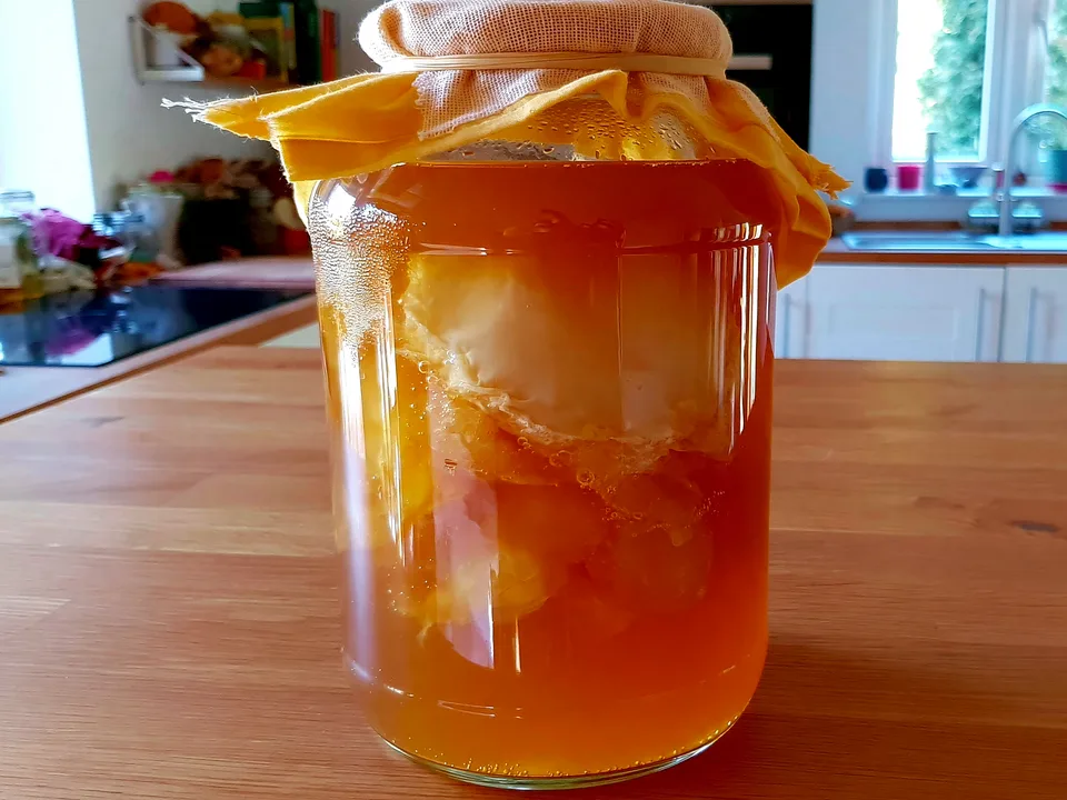 Kombucha